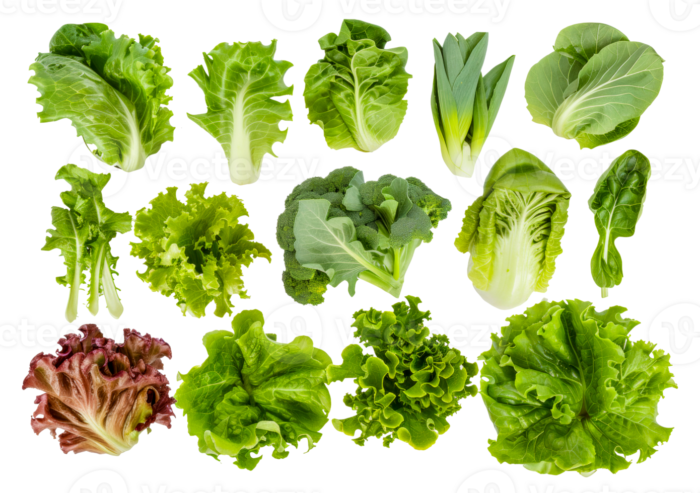 A collection of various types of green leafy vegetables - stock .. png