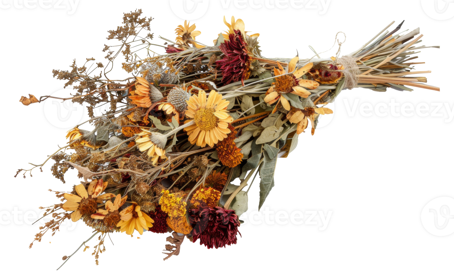 A bouquet of dried flowers is displayed - stock .. png