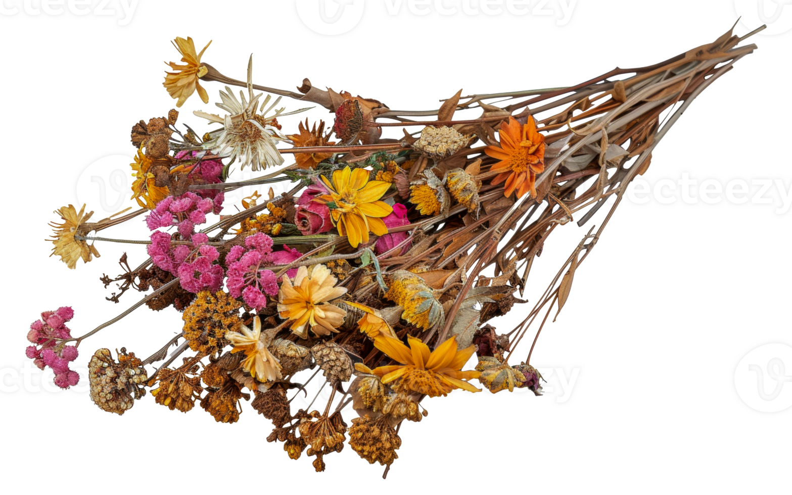 A bunch of dried flowers are arranged in a bunch - stock .. png
