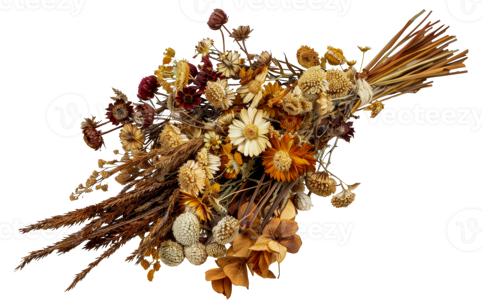 A bouquet of dried flowers is displayed - stock .. png