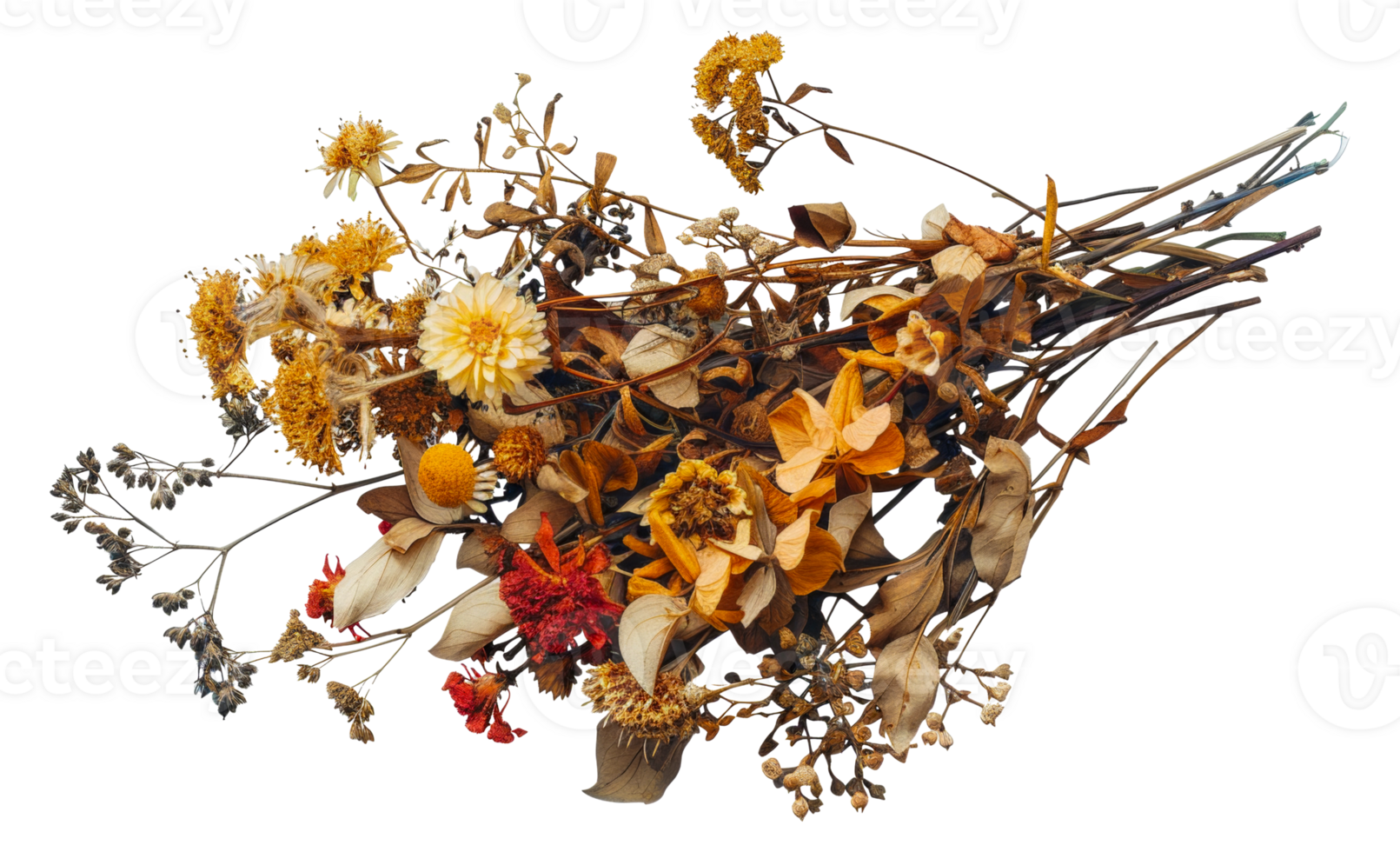 A bouquet of dried flowers with yellow and orange petals - stock .. png