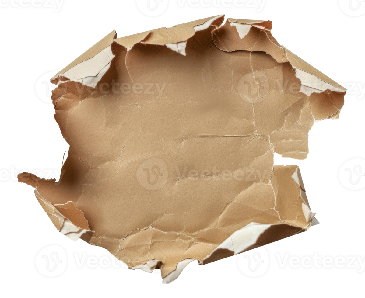 A torn piece of paper with a hole in the middle - stock .. png
