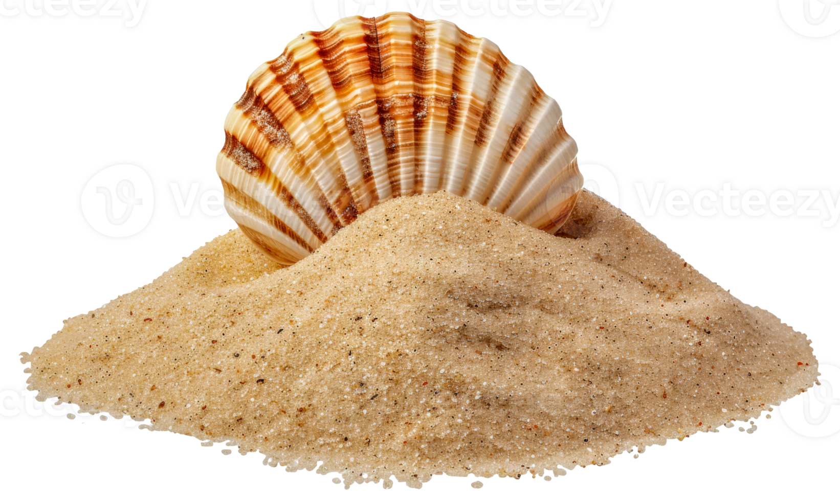A shell is on top of a pile of sand - stock .. png