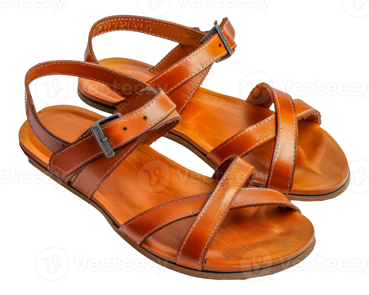 Two brown sandals with a strap on the top - stock .. png