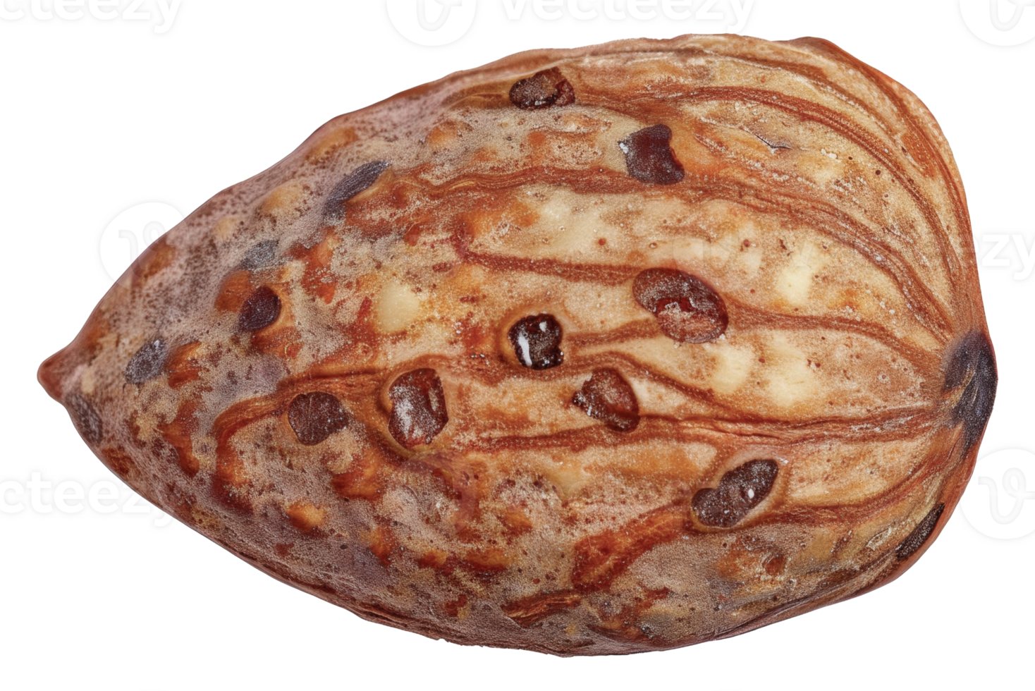 A nut with a brown shell and a white interior - stock .. png