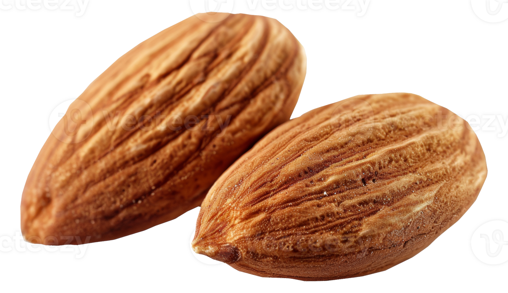 Two almonds are shown on a white background - stock .. png