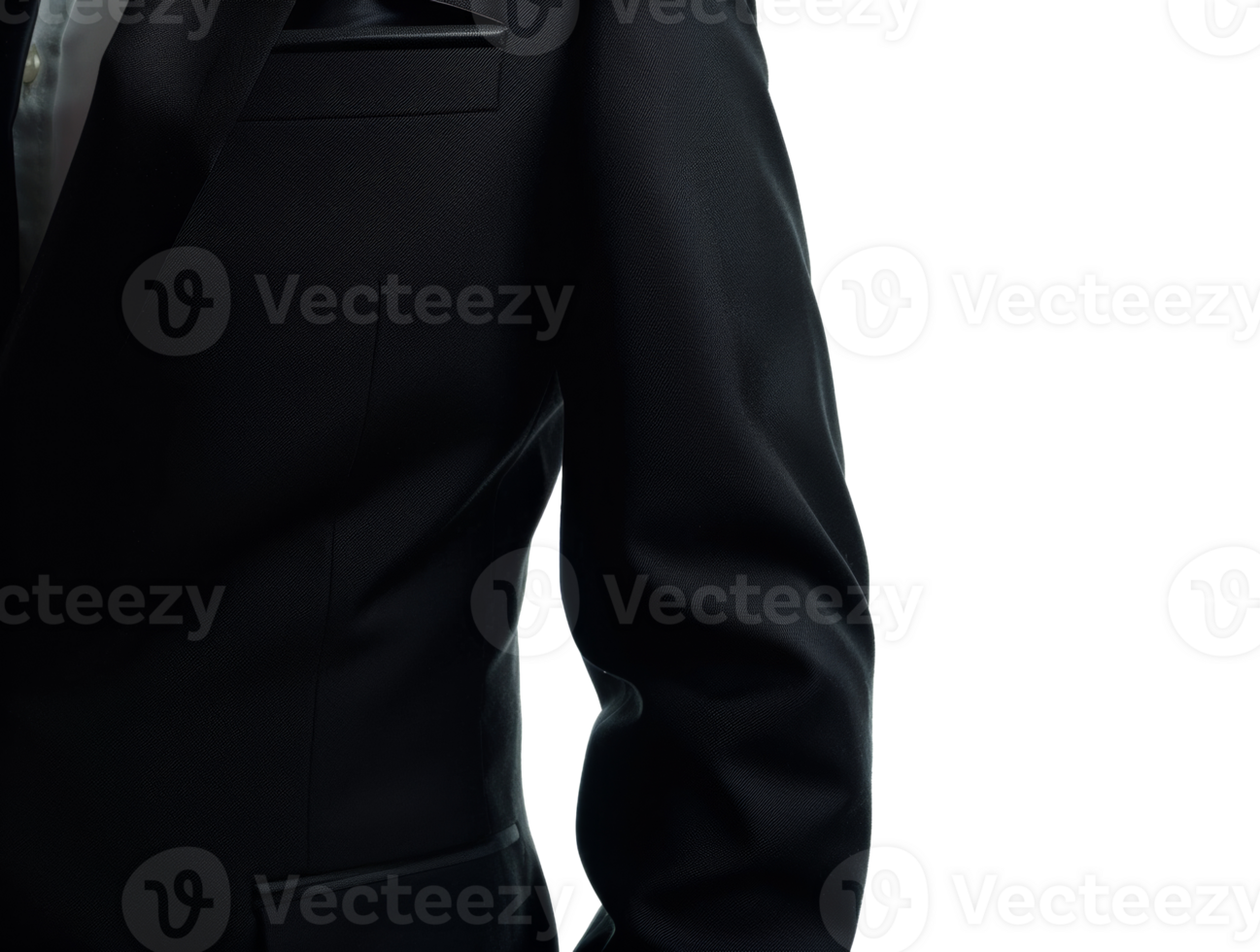 A man in a black suit is standing in front - stock .. png