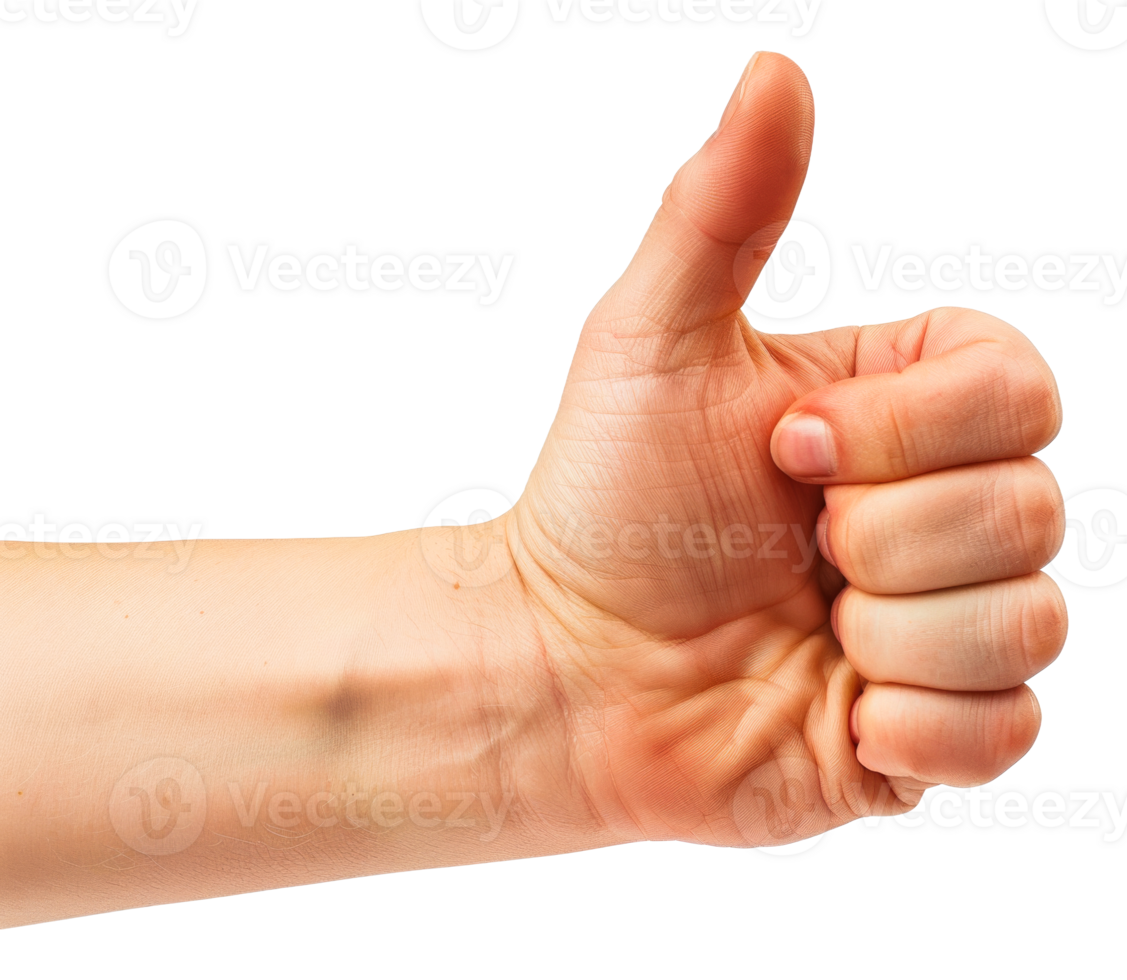 A hand with a thumbs up gesture - stock .. png