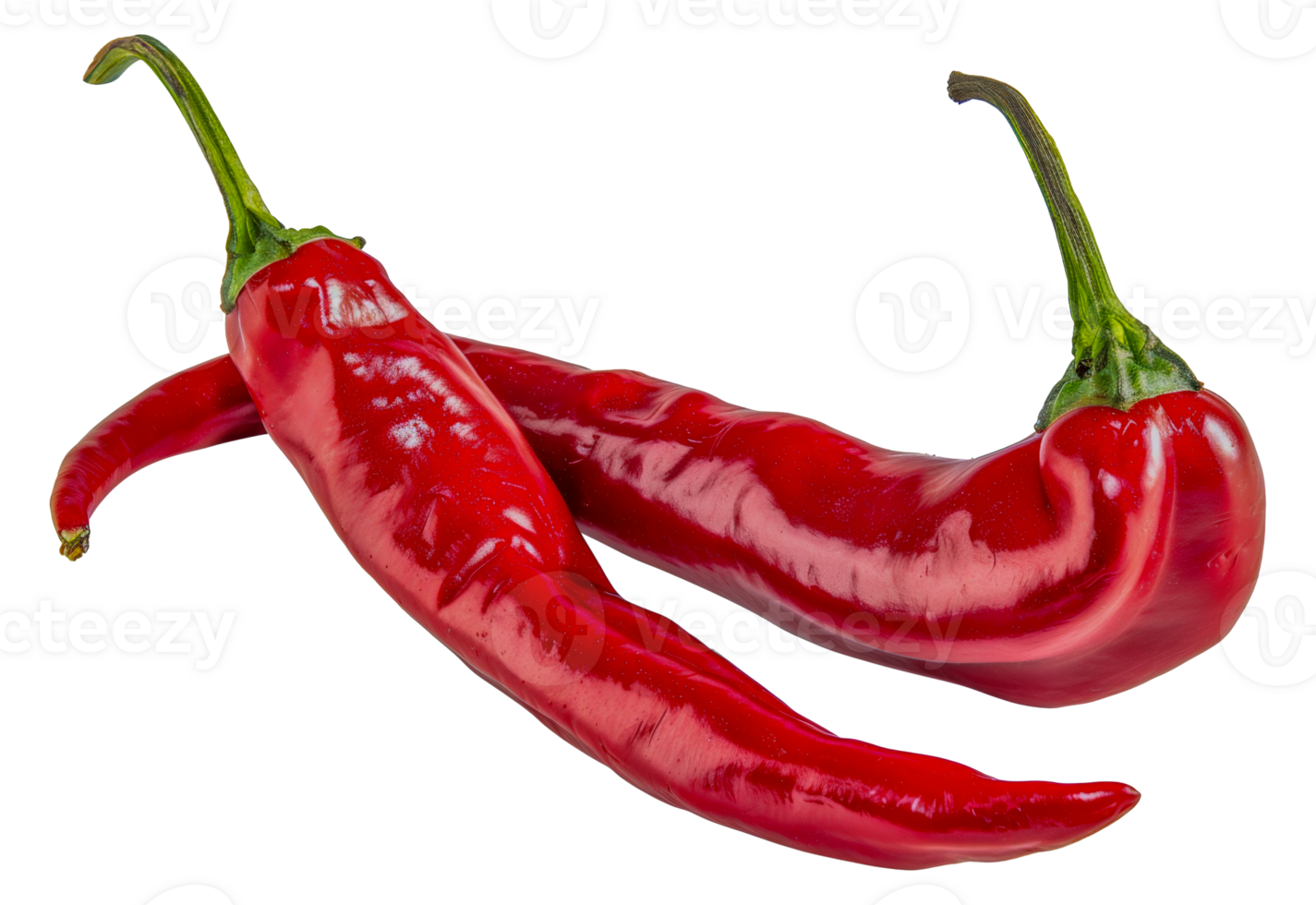 Two red peppers are shown with their stems still attached - stock .. png