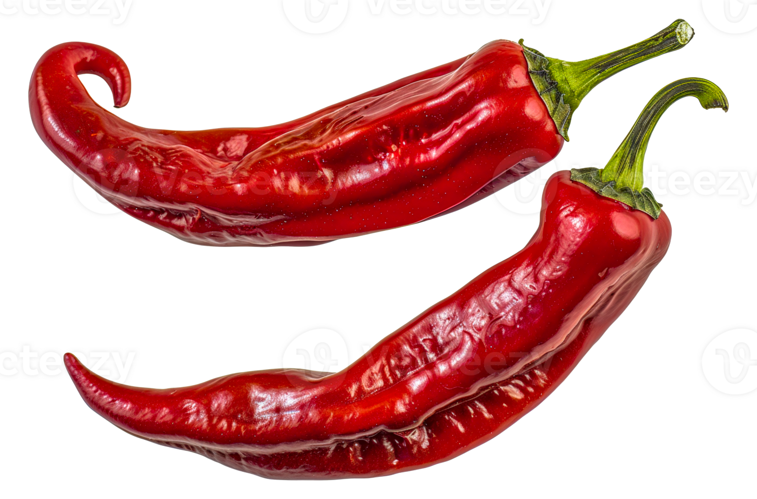 Two red peppers are shown with their stems still attached - stock .. png