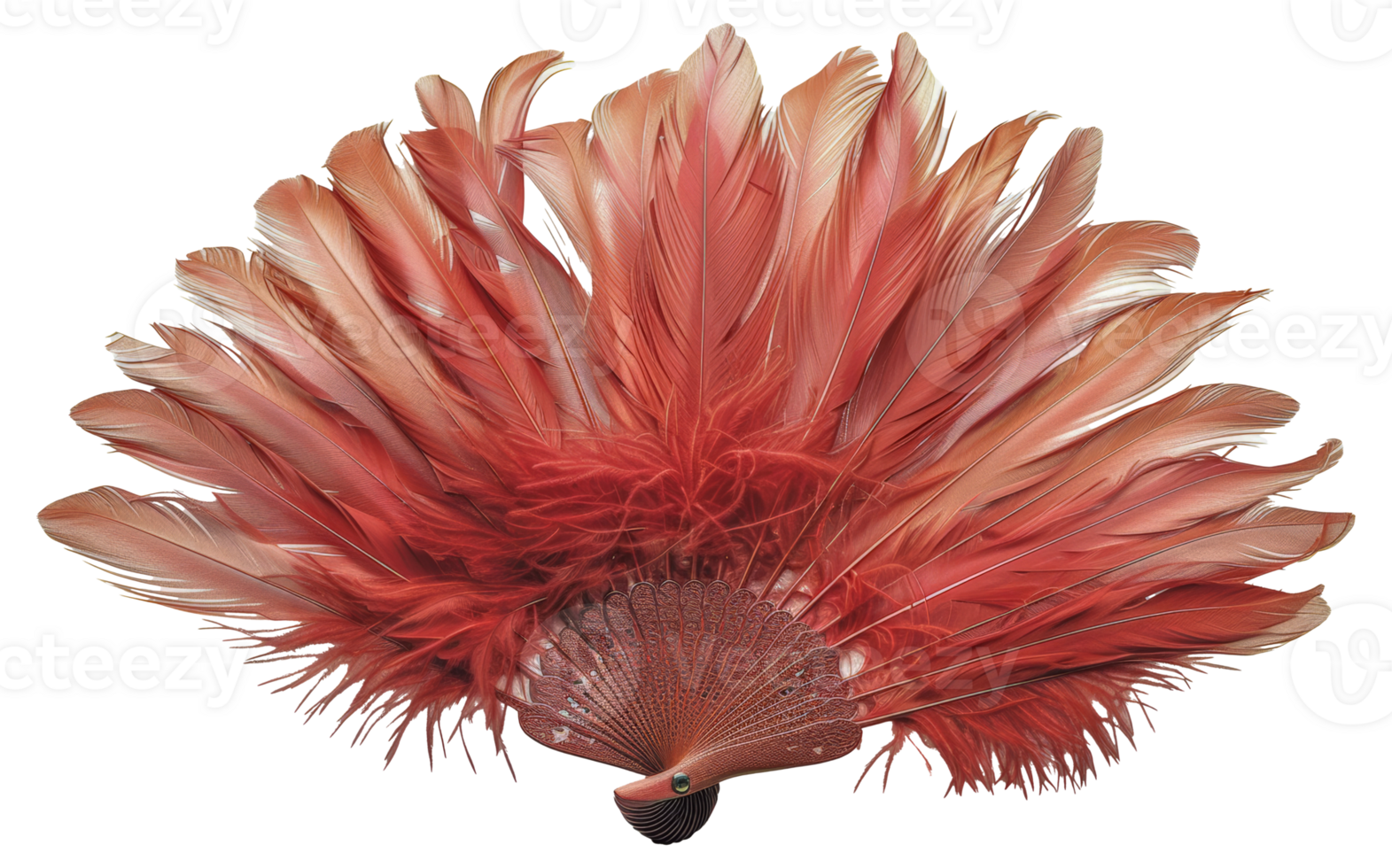 Ornate red feather fan spread, cut out - stock .. png