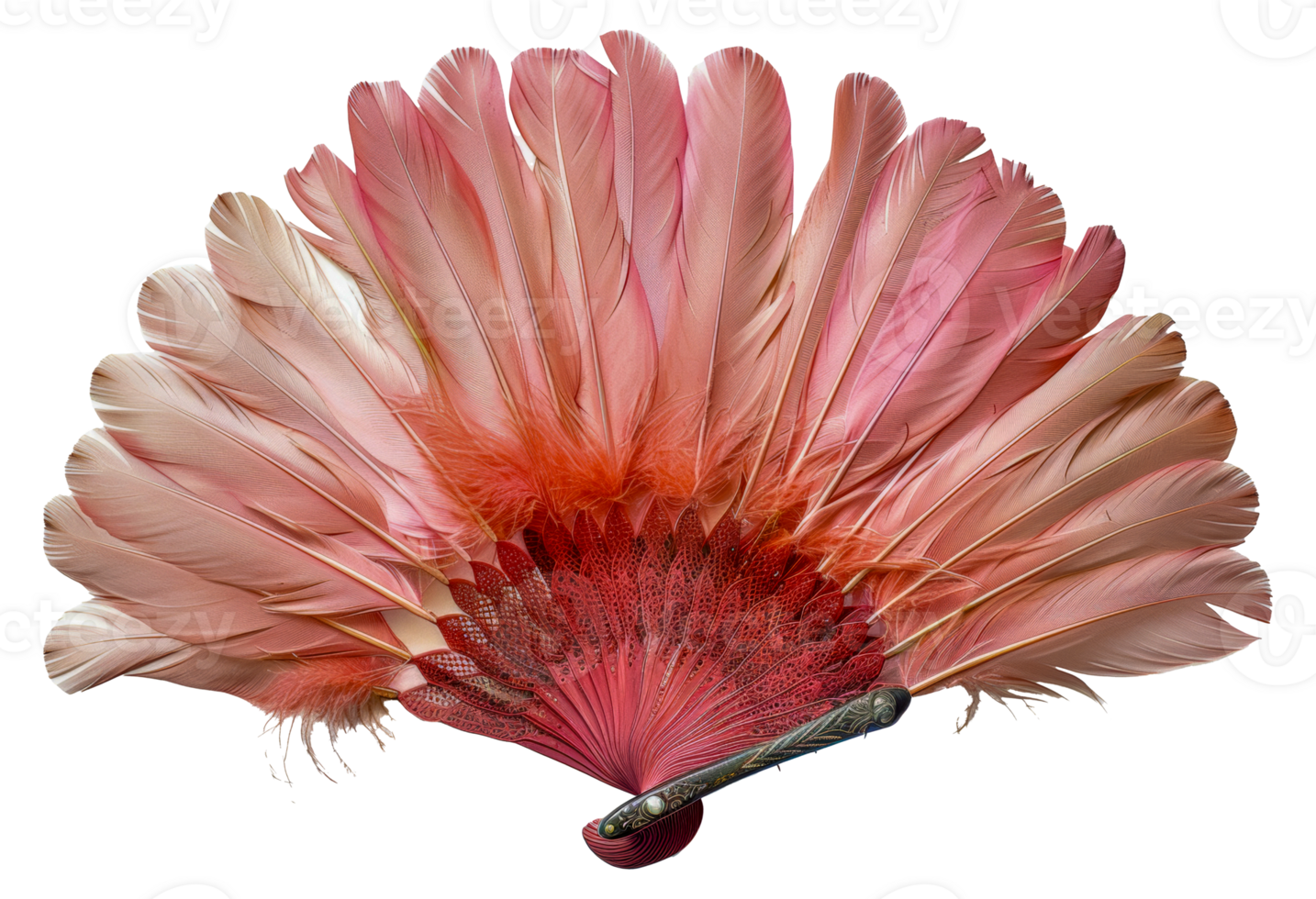 Ornate red feather fan spread, cut out - stock .. png