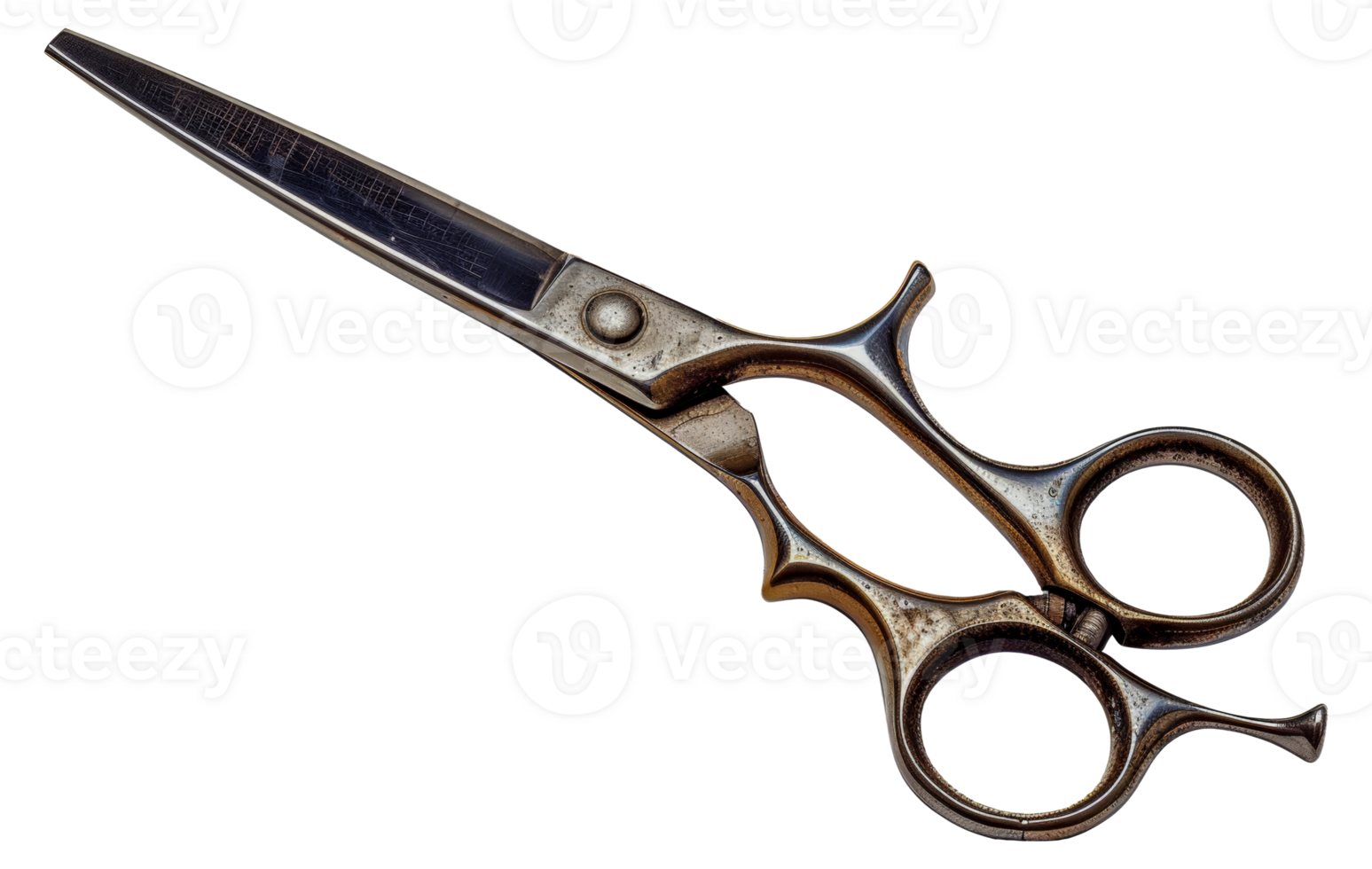 Professional hairdressing scissors, cut out - stock .. png