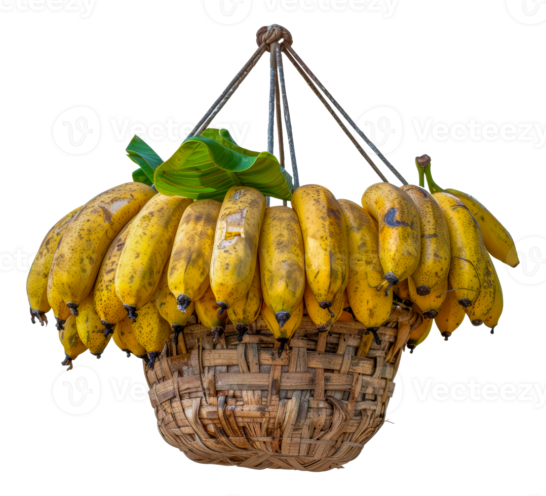 Hanging ripe bananas in a bamboo basket with green leaves, cut out - stock . png
