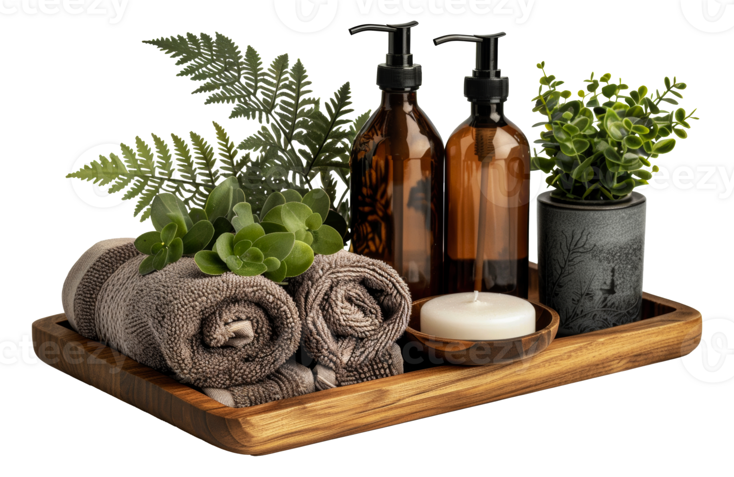 spa essentiel ensemble avec vert les plantes sur en bois plateau, Couper en dehors - Stock . png