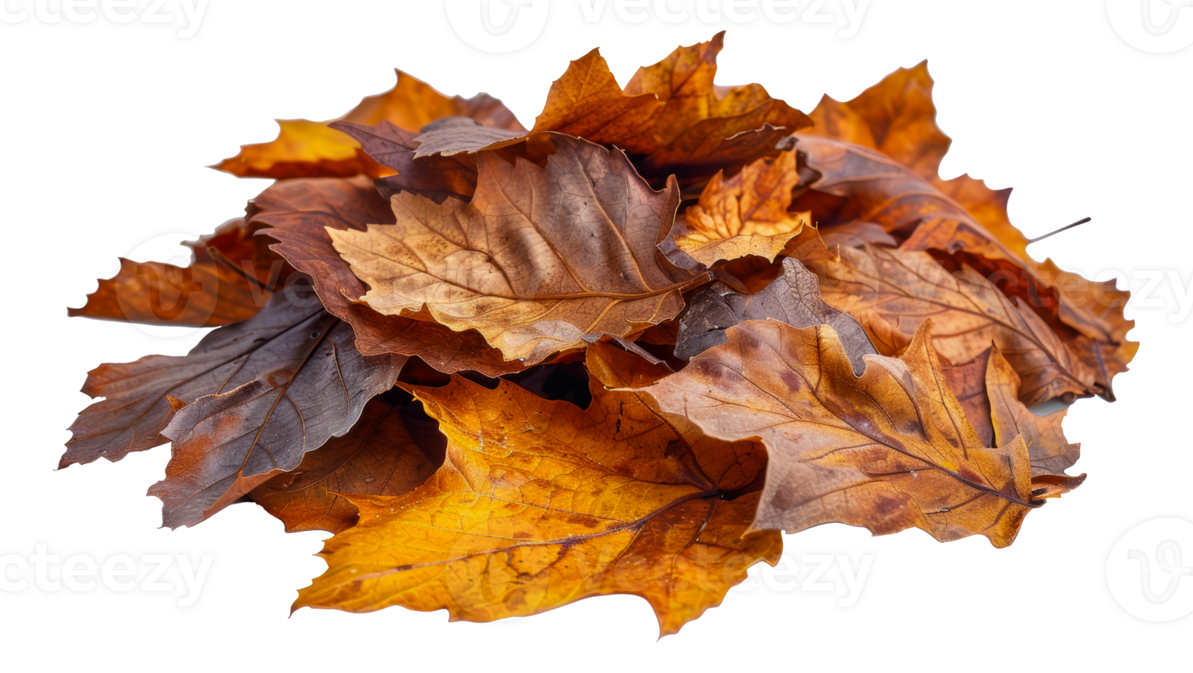 Pile of dry autumn leaves with rich textures and colors, cut out - stock . png