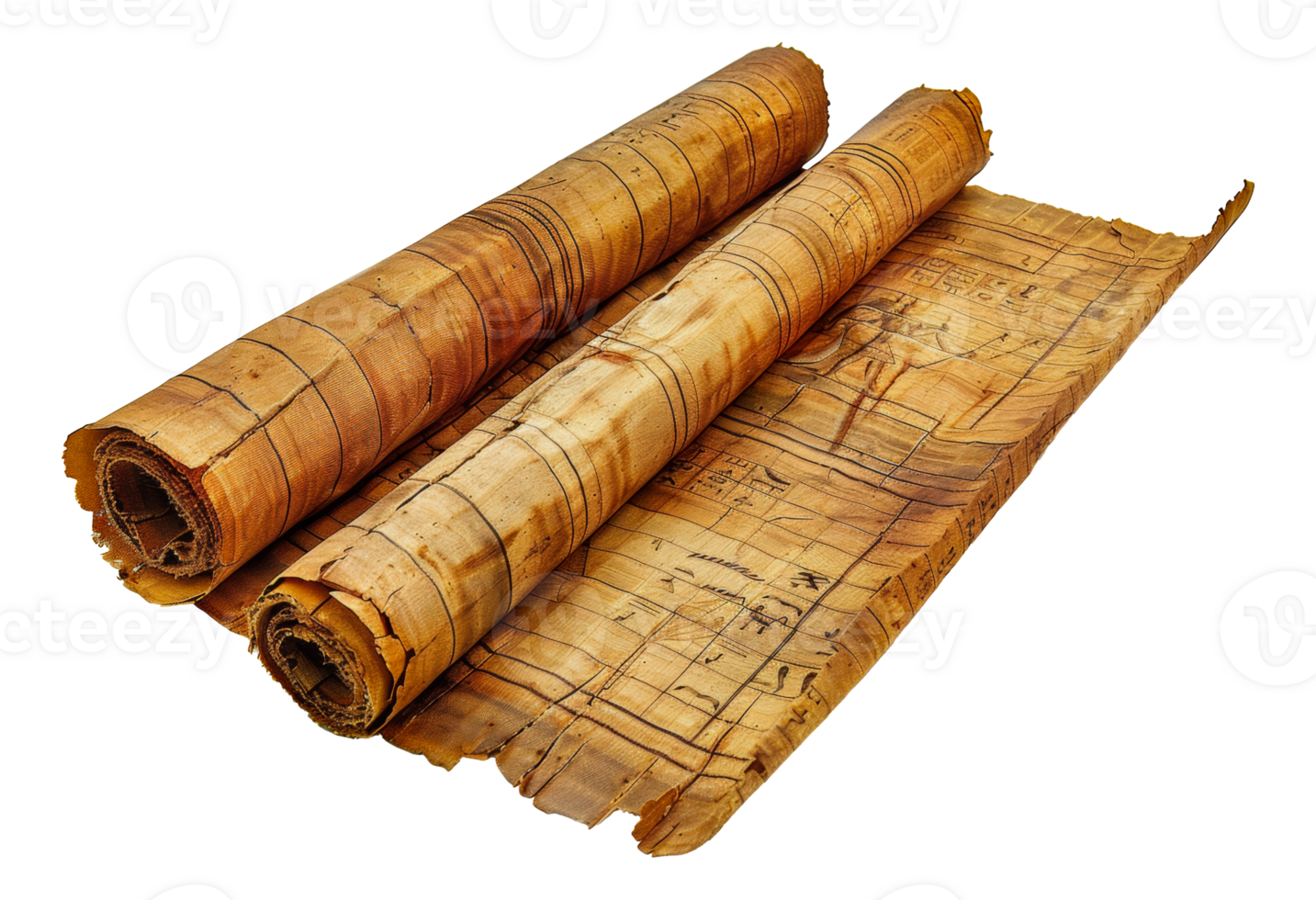 Rolled ancient Egyptian papyrus scrolls, cut out - stock .. png