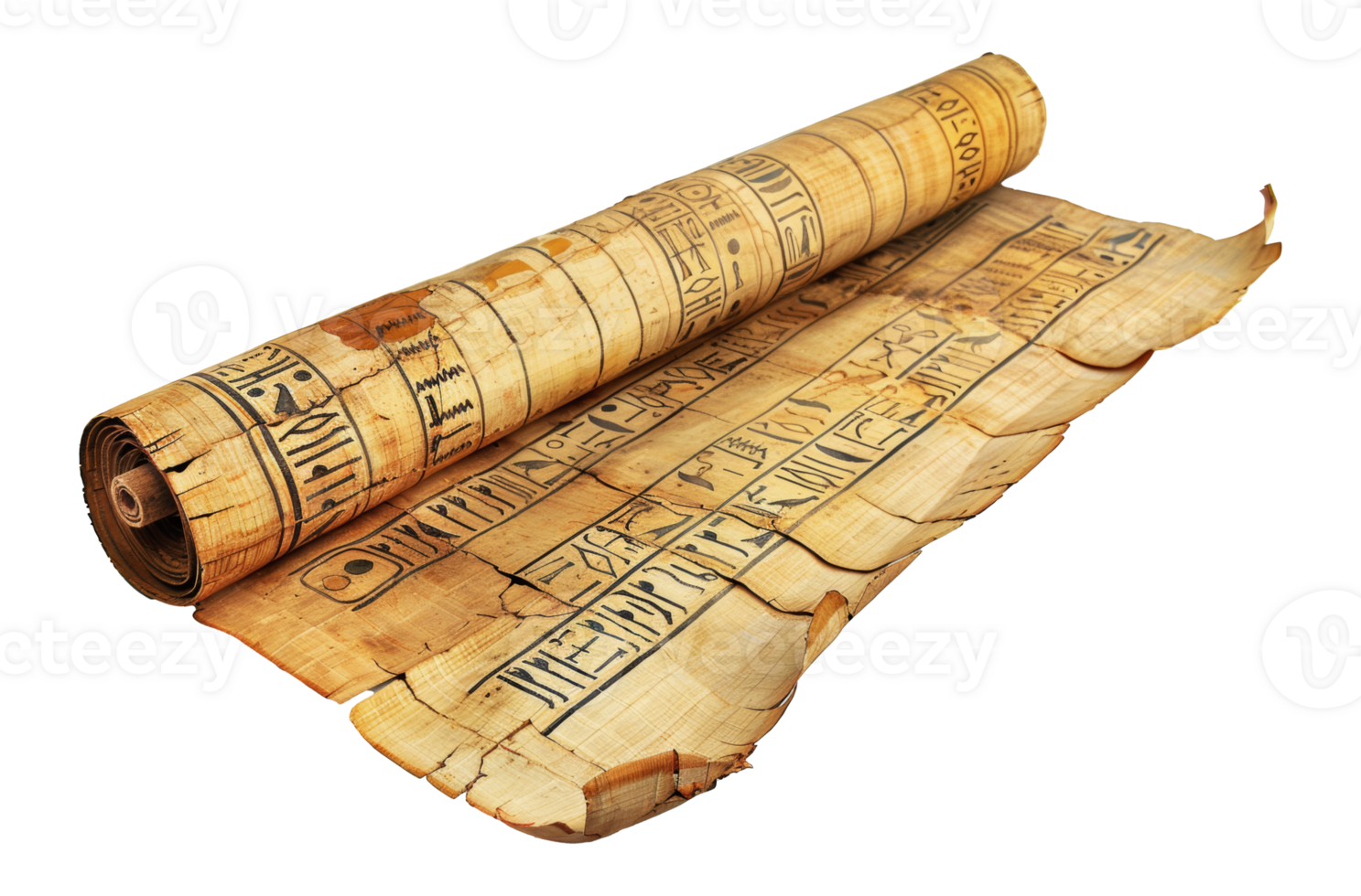 Rolled ancient Egyptian papyrus scrolls, cut out - stock .. png