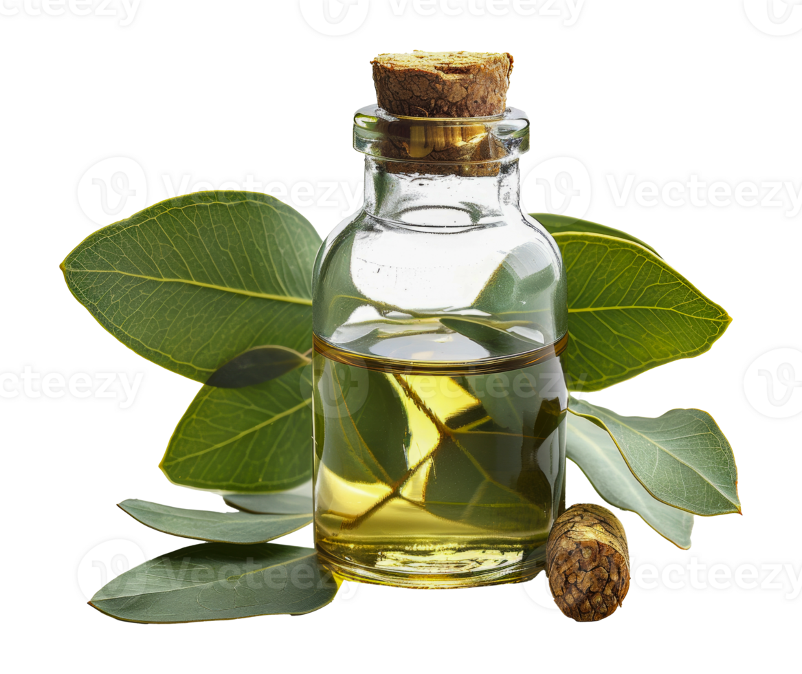 Essential oil in glass bottle surrounded by green leaves, cut out - stock . png