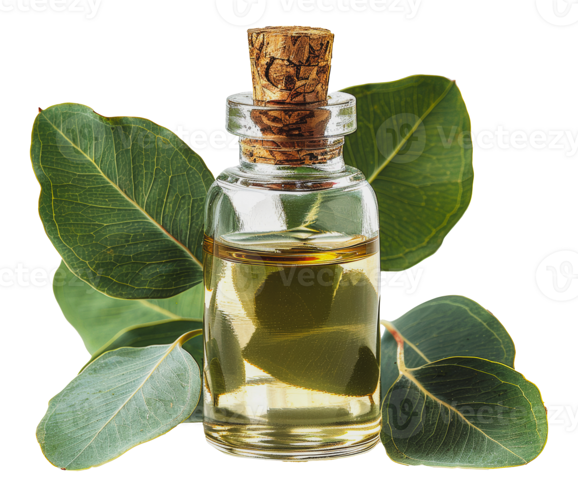 Essential oil in glass bottle surrounded by green leaves, cut out - stock . png