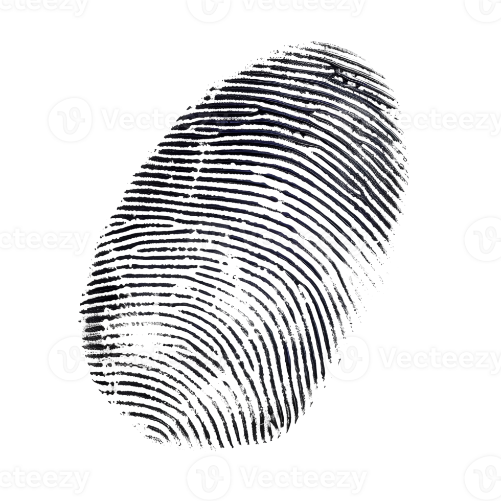 Detailed single fingerprint, cut out - stock .. png