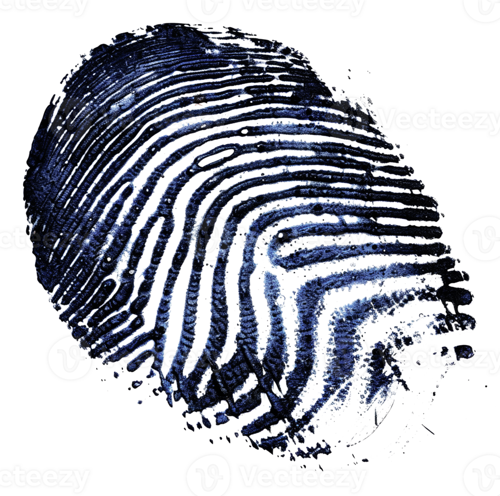 Detailed single fingerprint, cut out - stock .. png