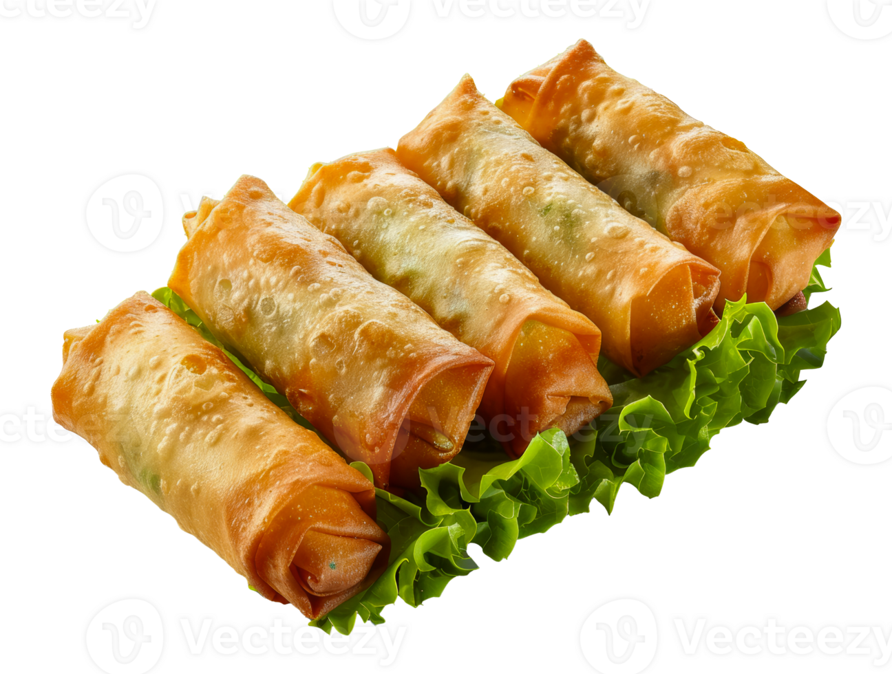 Fresh vegetable spring rolls with crisp lettuce, cut out - stock .. png