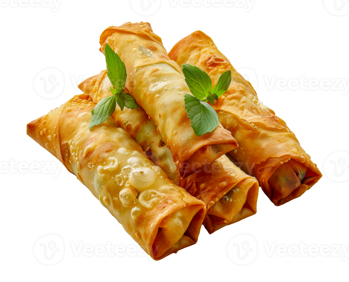 Fresh vegetable spring rolls with crisp lettuce, cut out - stock .. png