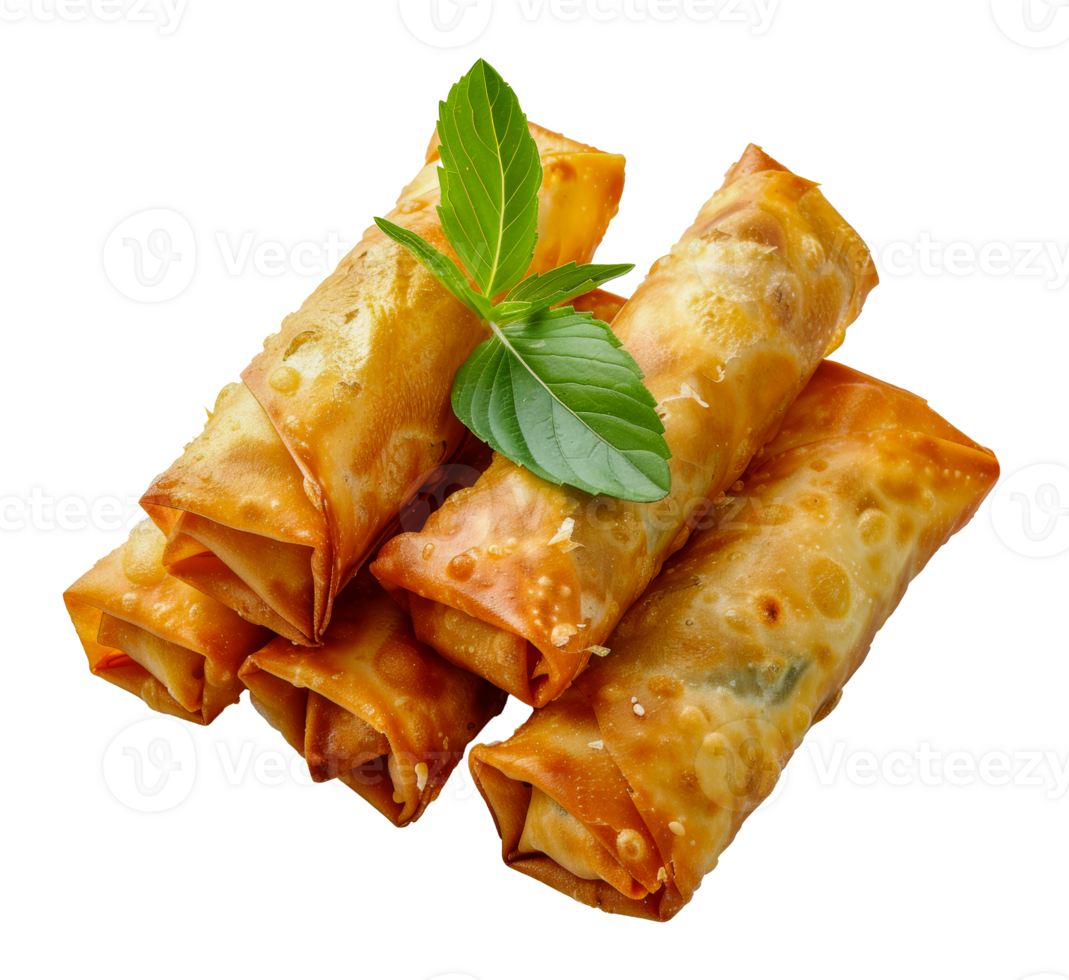Fresh vegetable spring rolls with crisp lettuce, cut out - stock .. png