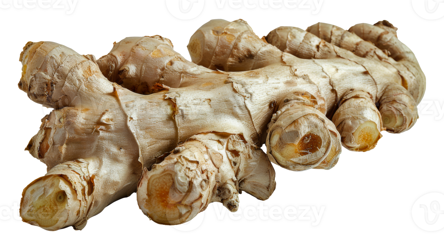 Fresh organic ginger roots, cut out - stock .. png