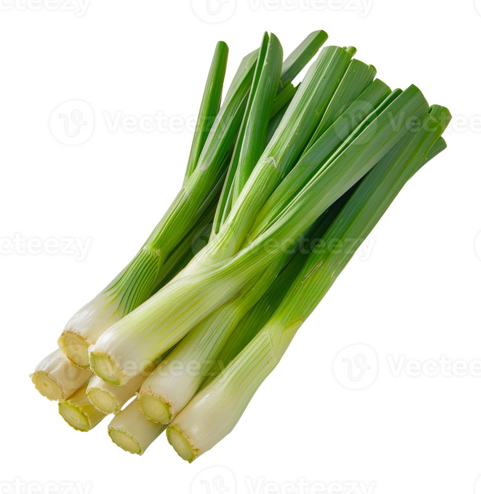 Bunch of fresh leeks, cut out - stock .. png