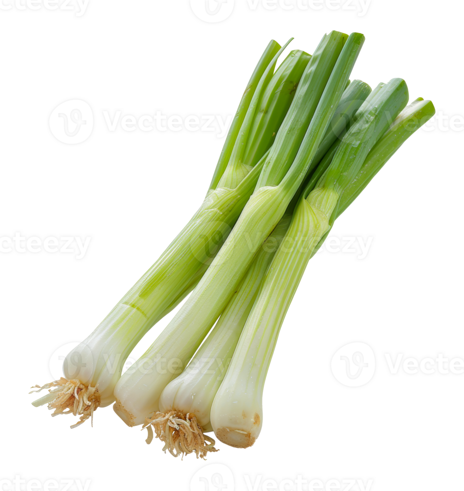 Bunch of fresh leeks, cut out - stock .. png