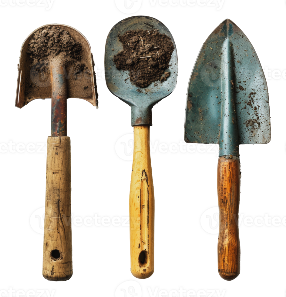 Rusty garden tools with wooden handles, cut out - stock . png