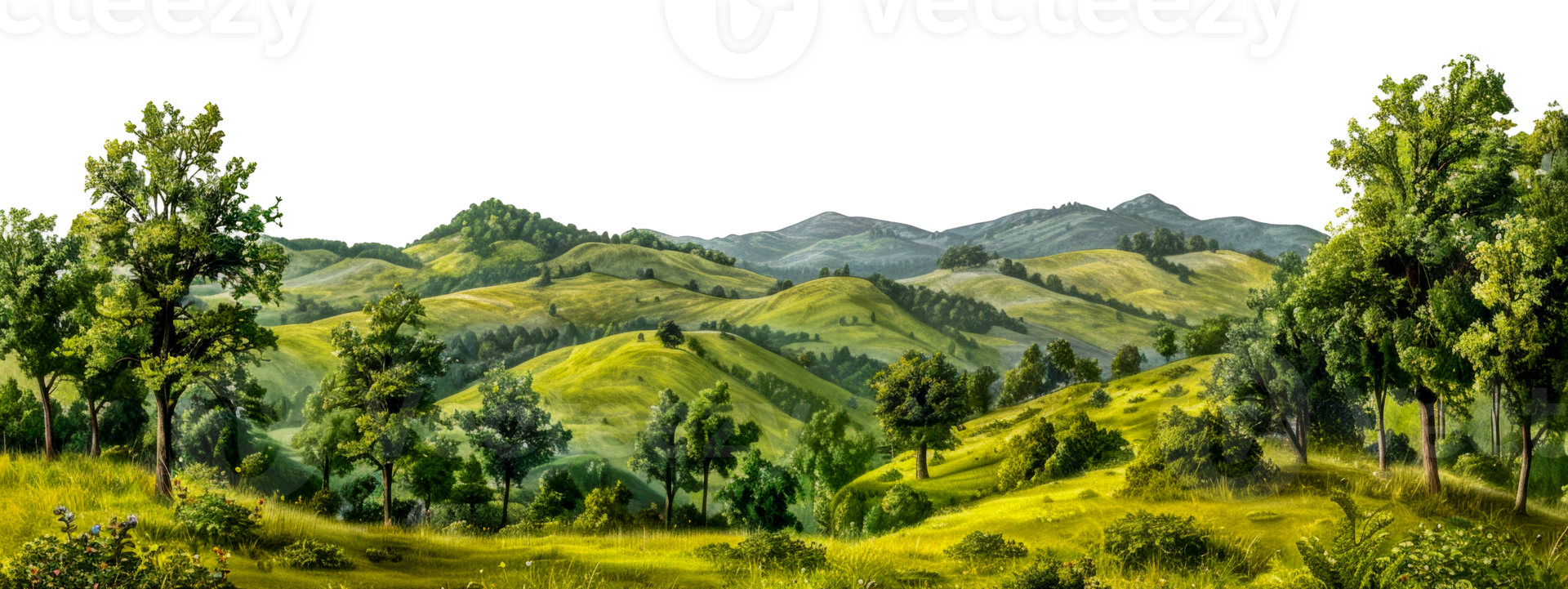 Panoramic view of meadow landscape with trees and hills, cut out - stock . png