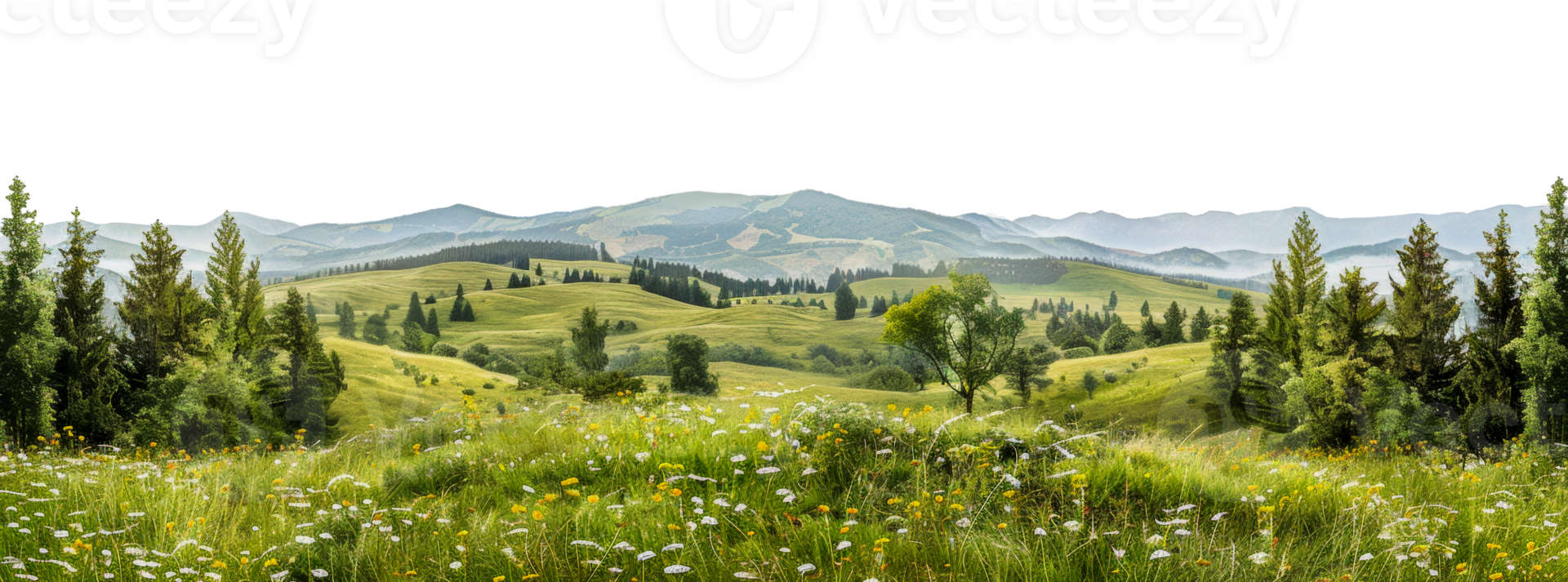 Panoramic view of meadow landscape with trees and hills, cut out - stock . png