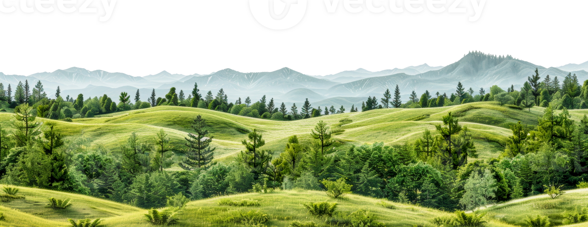 Panoramic view of meadow landscape with trees and hills, cut out - stock . png