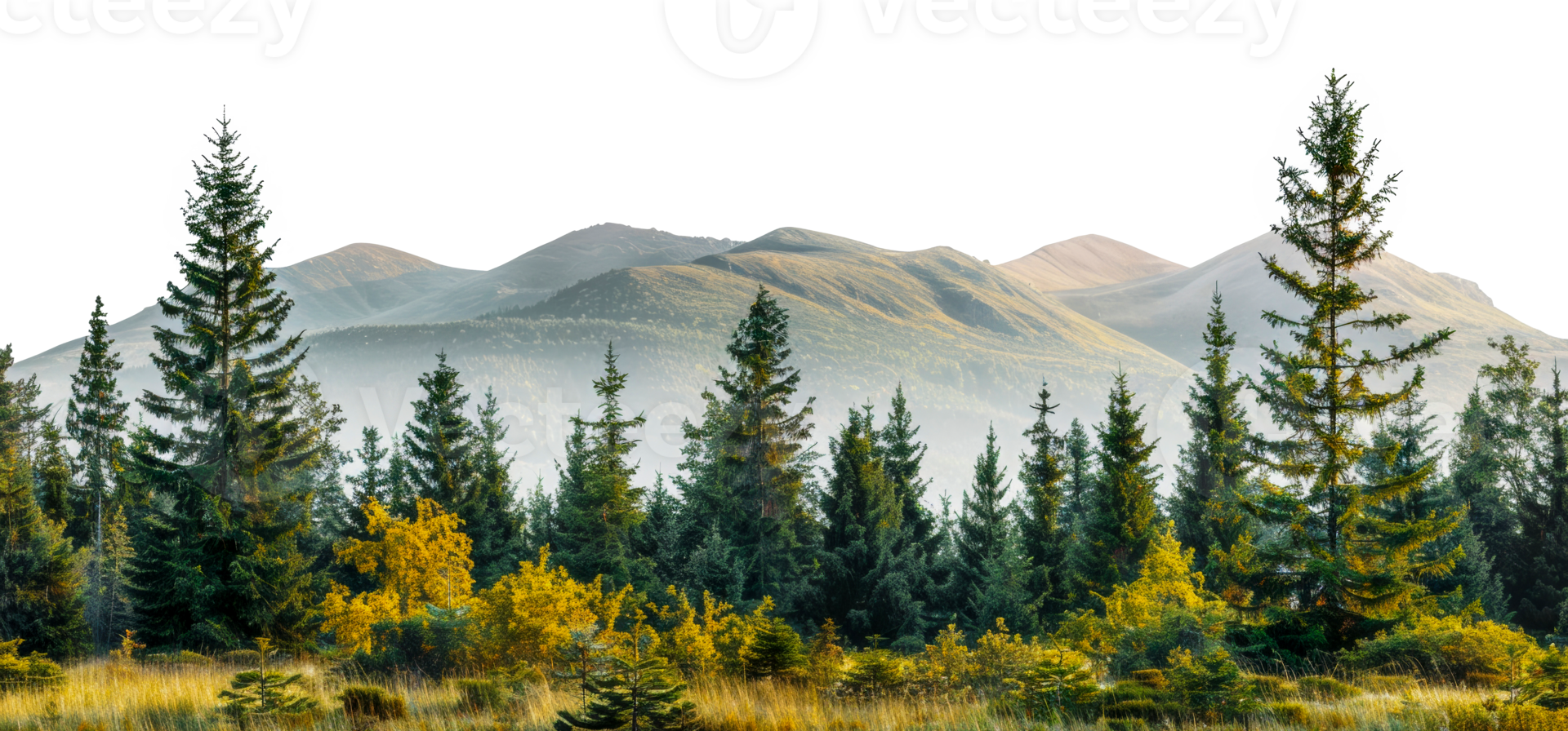 Panoramic view of meadow landscape with trees and hills, cut out - stock . png