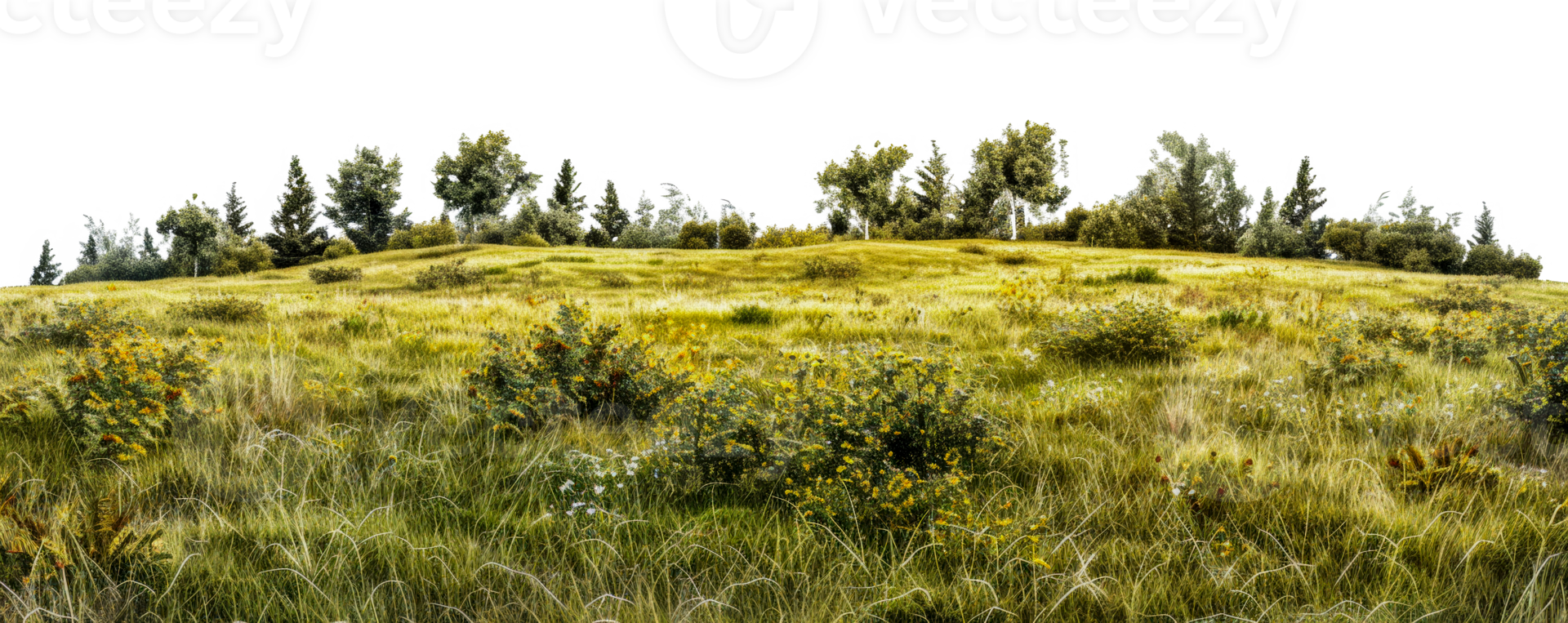 Panoramic view of meadow landscape with trees and hills, cut out - stock . png