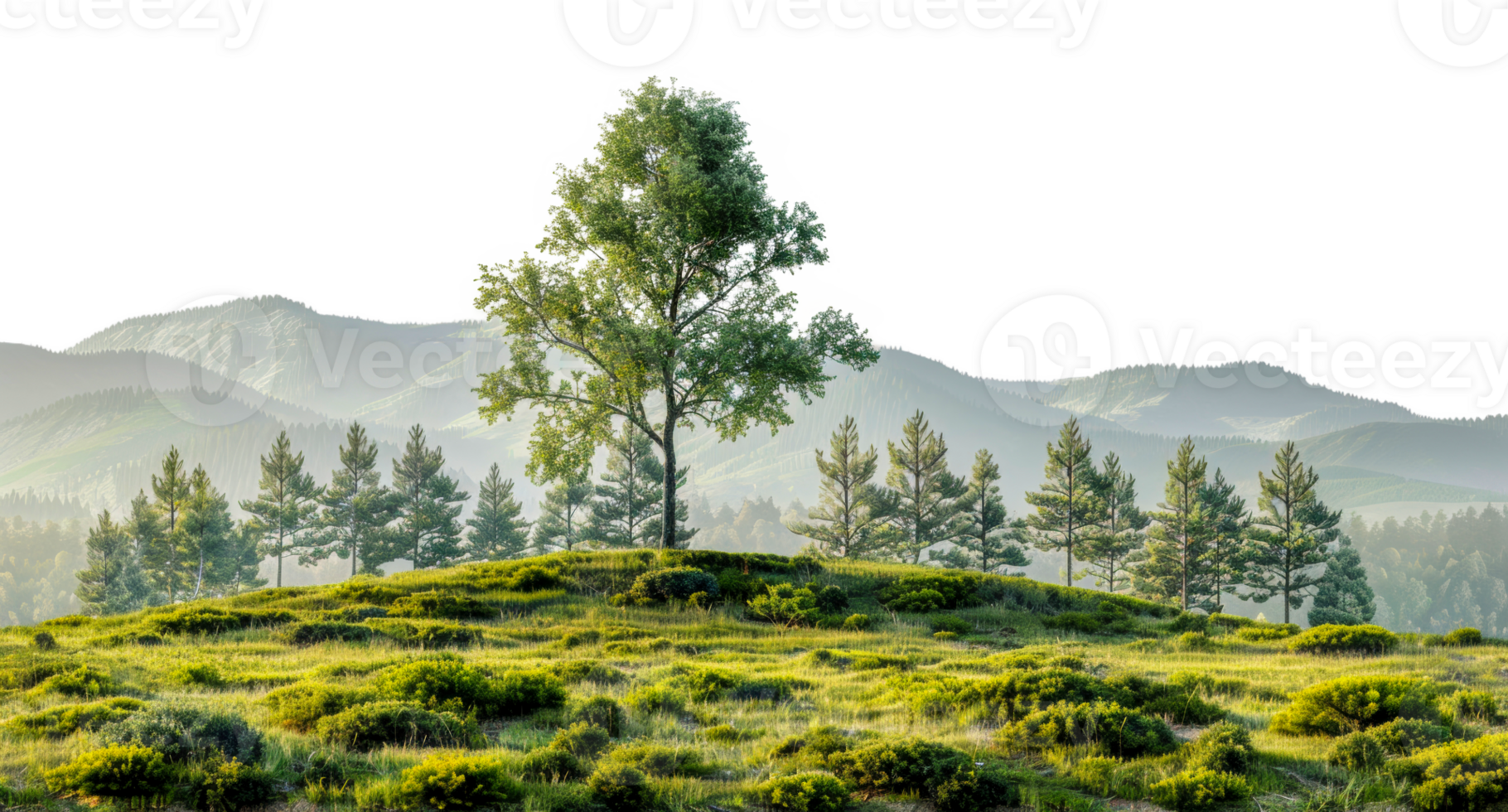 Panoramic view of meadow landscape with trees and hills, cut out - stock . png