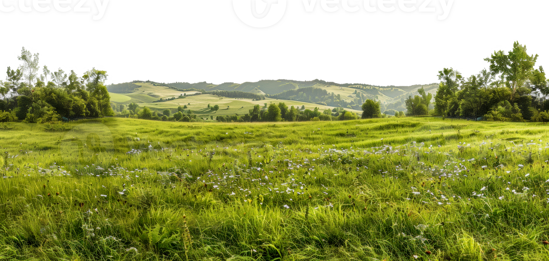 panorama- se av äng landskap med träd och kullar, skära ut - stock . png