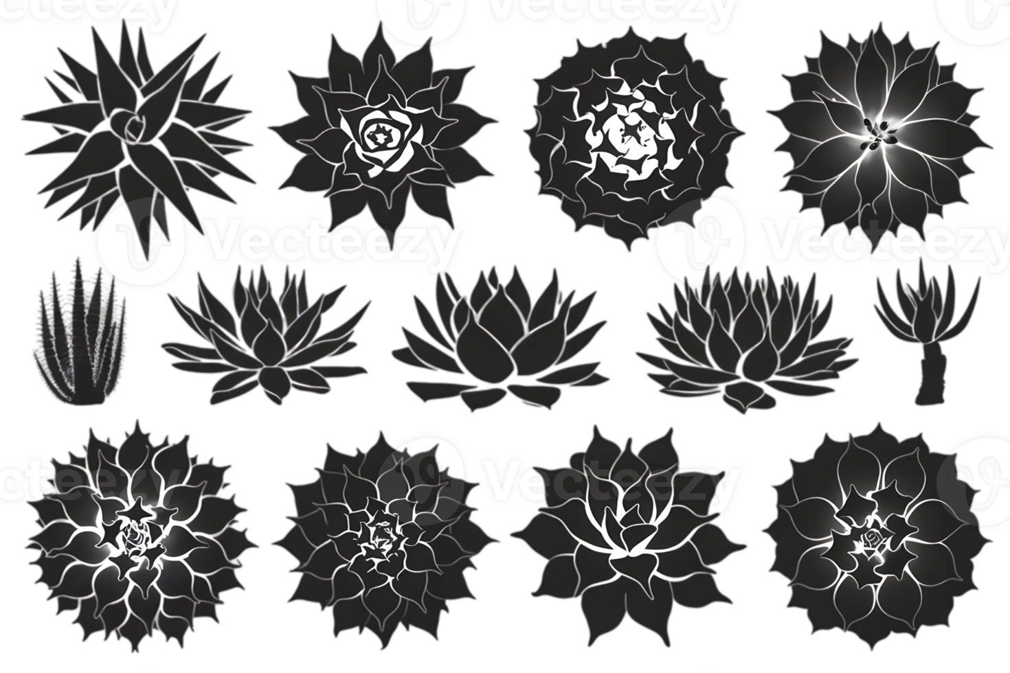 Silhouettes of Succulent Plant Species - Transparent Background png