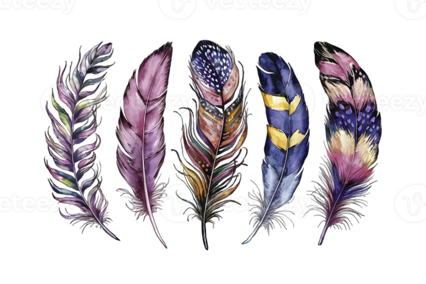 Illustrate a Captivating Series of Feathers Using Watercolor Techniques - Transparent Background png