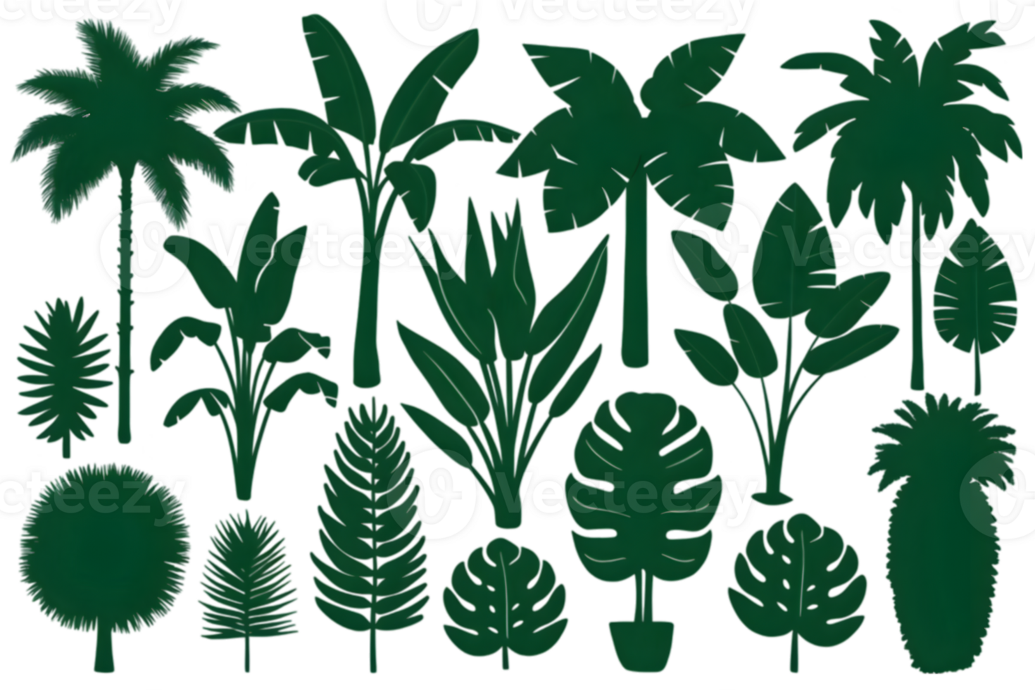 Silhouettes of Tropical Plant Species in Green - Transparent Background png