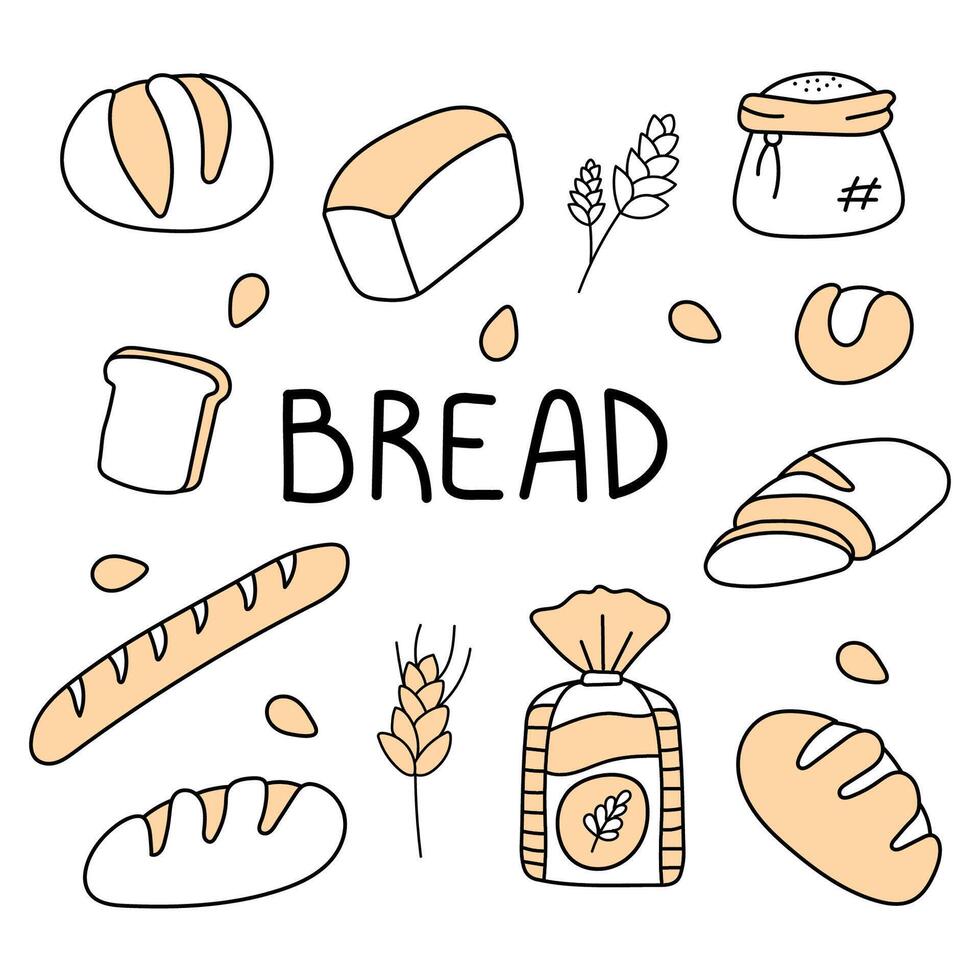 Bread set in doodle style. Isolated on white background vector