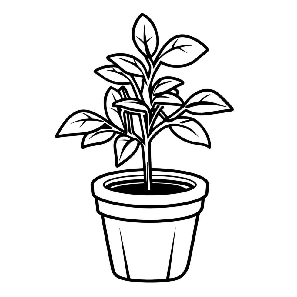 outline icon of basil herb. vector