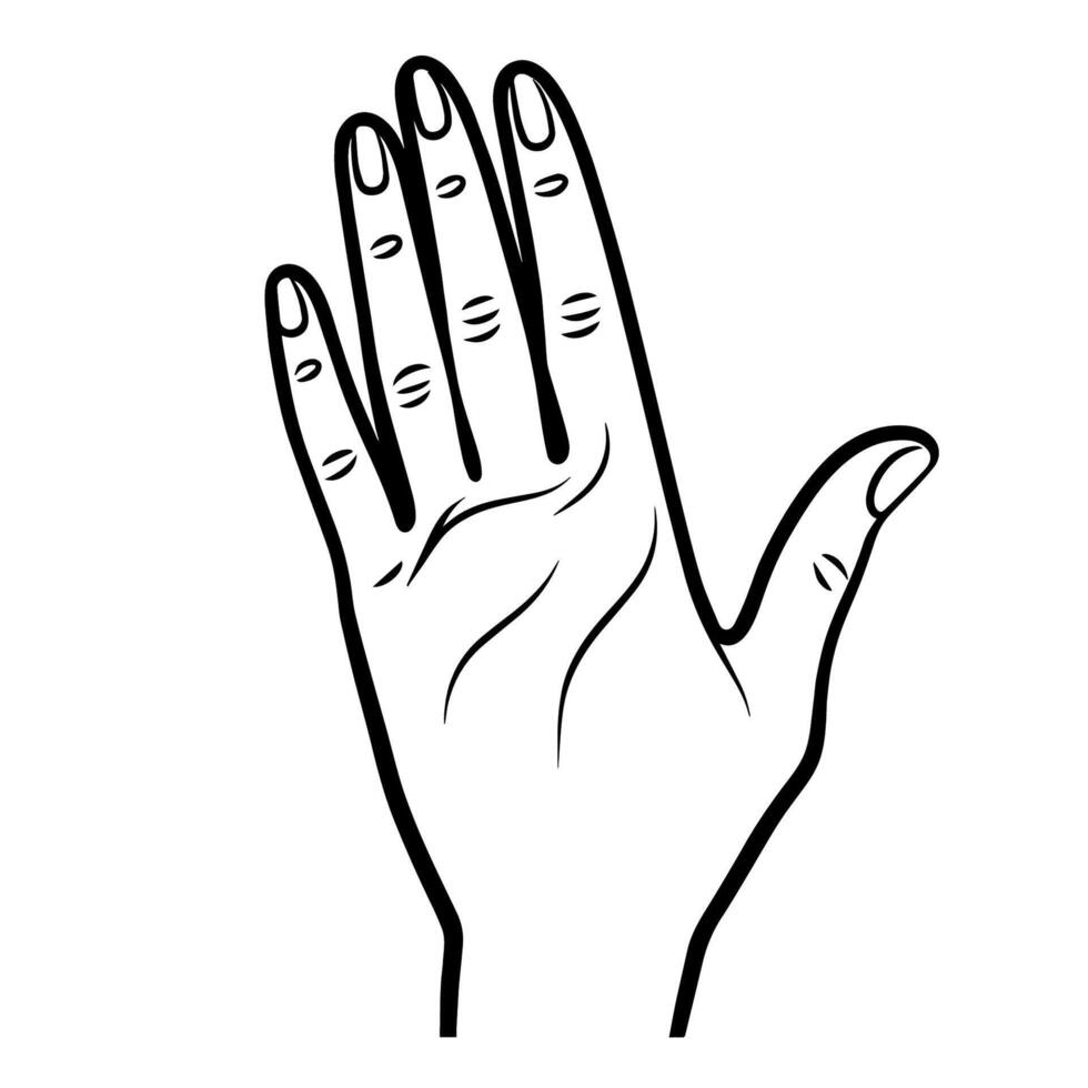 Sophisticated outline icon of an elegant woman's hand, perfect for fashion designs. vector