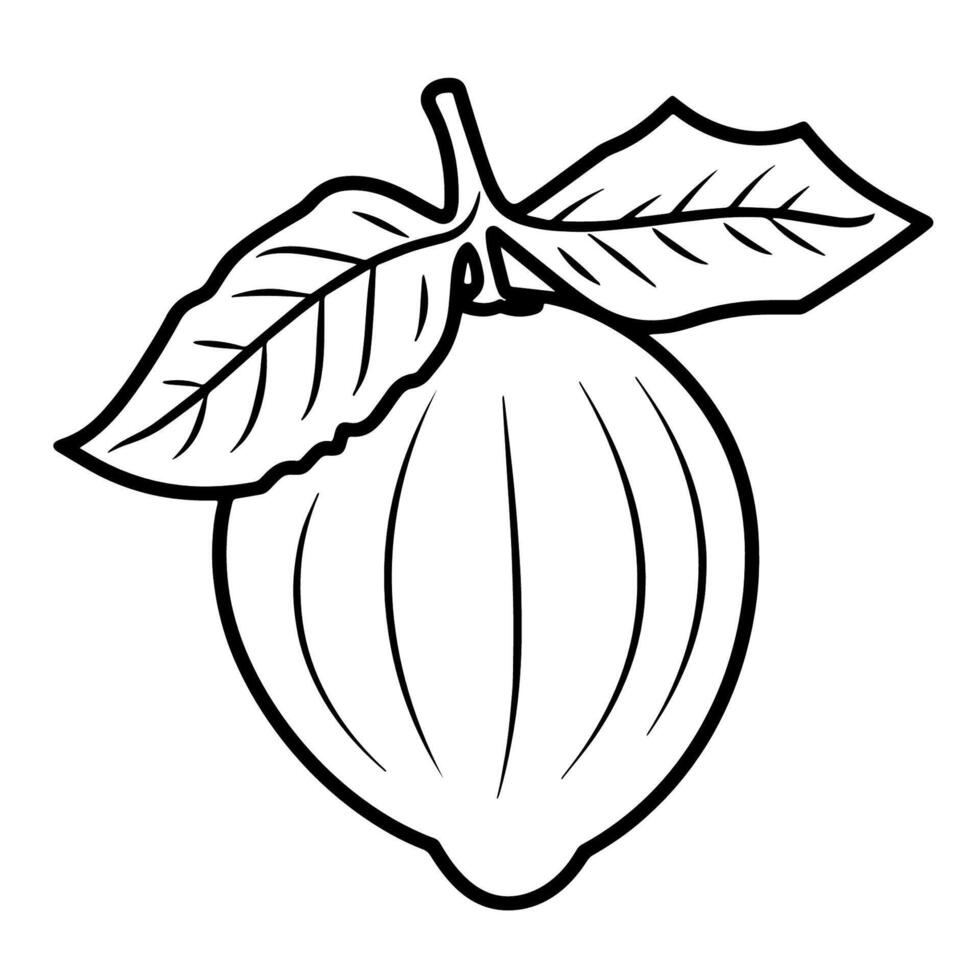 Elegant outline icon of a hazelnut for culinary designs. vector