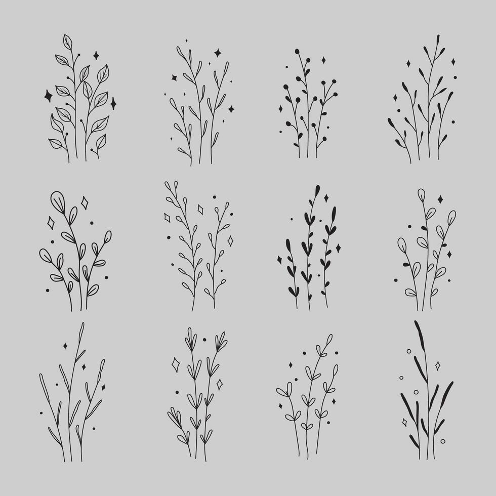 leaf line drawing collection vector