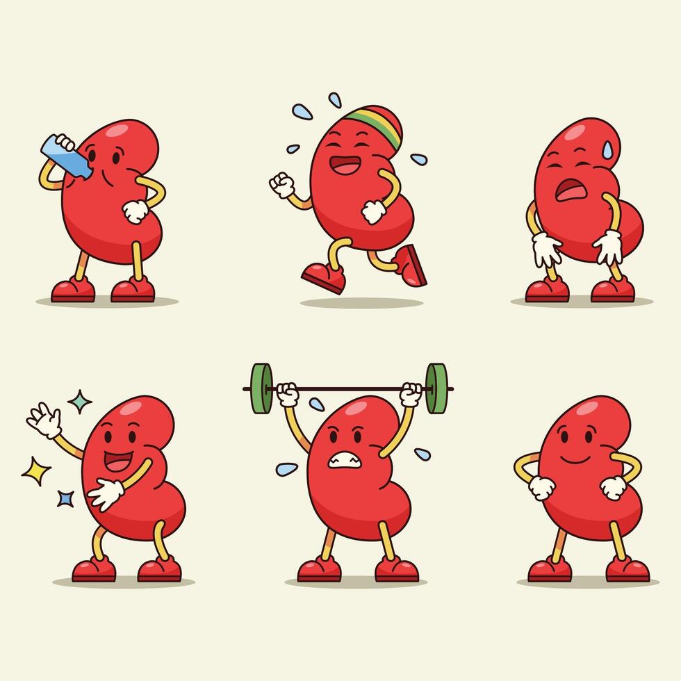 Healthy And Fun Kidney Character vector