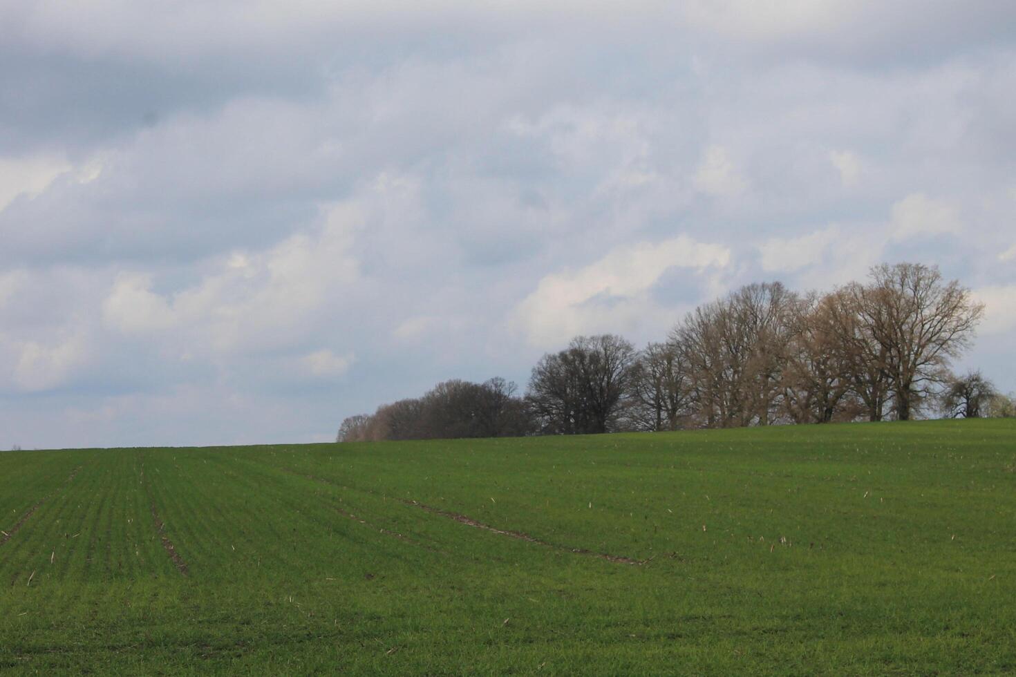 nature landscape photo